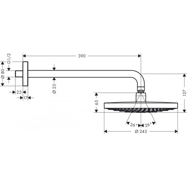 Верхний душ hansgrohe Raindance Select S 240 2jet с держателем 390 мм. 26466000, хром